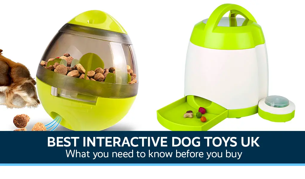 best interactive dog toys uk