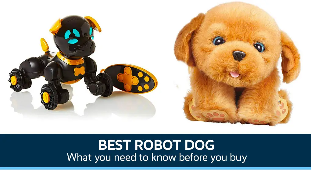fluffy the robot dog