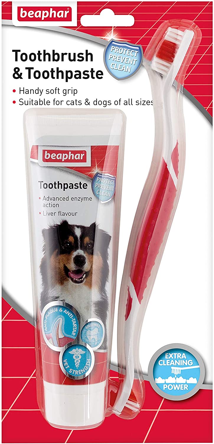 Beaphar Toothbrush and Toothpaste Kit, 100g