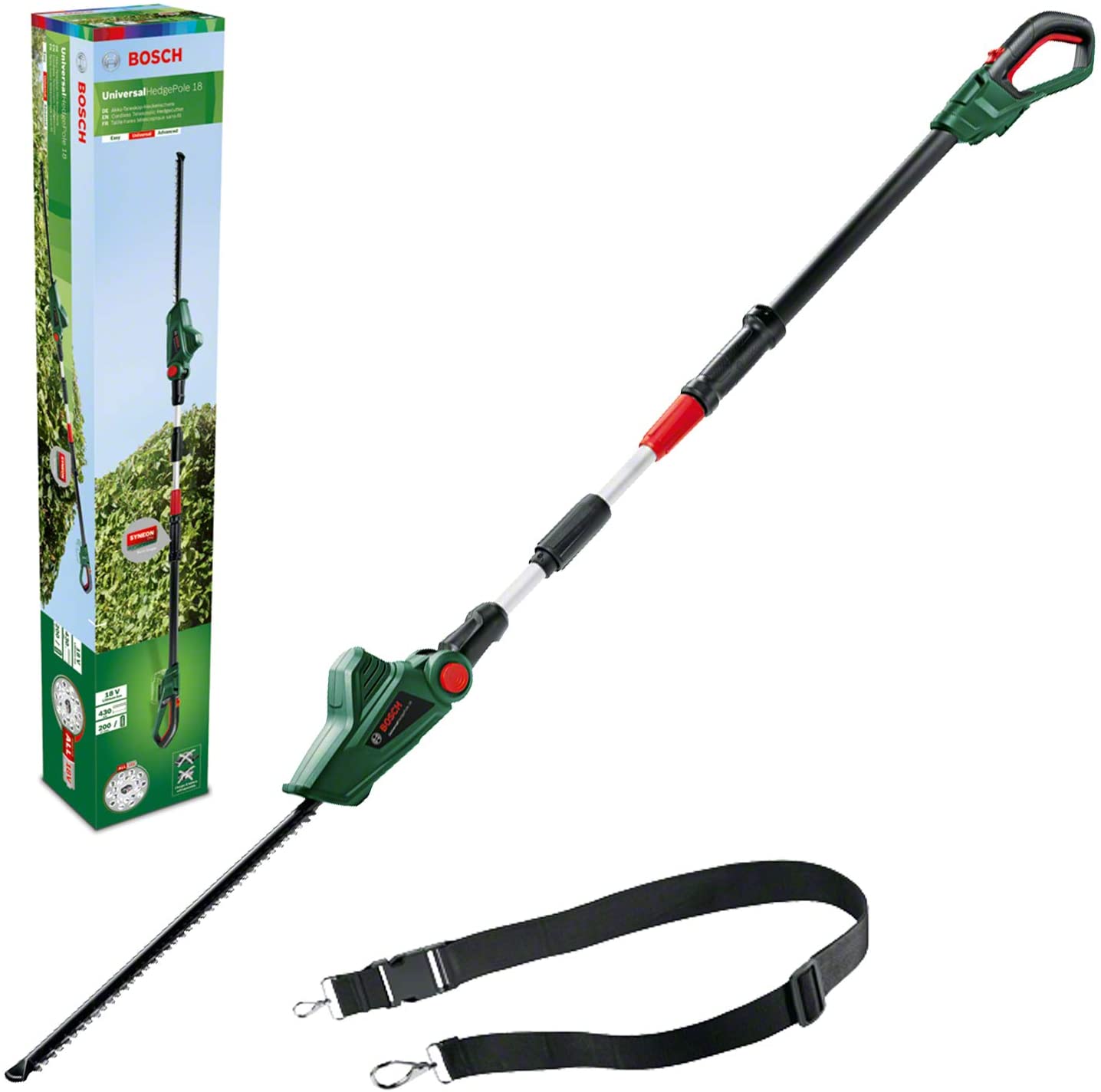 beginner carp set up