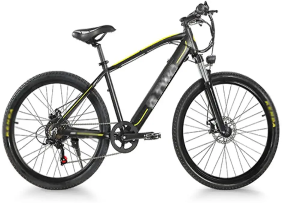 FZYE Electric Bikes With Shock Absorber
