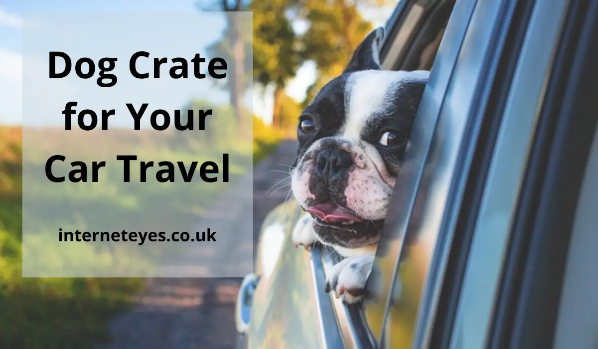 Dog Crate for Your Car Travel