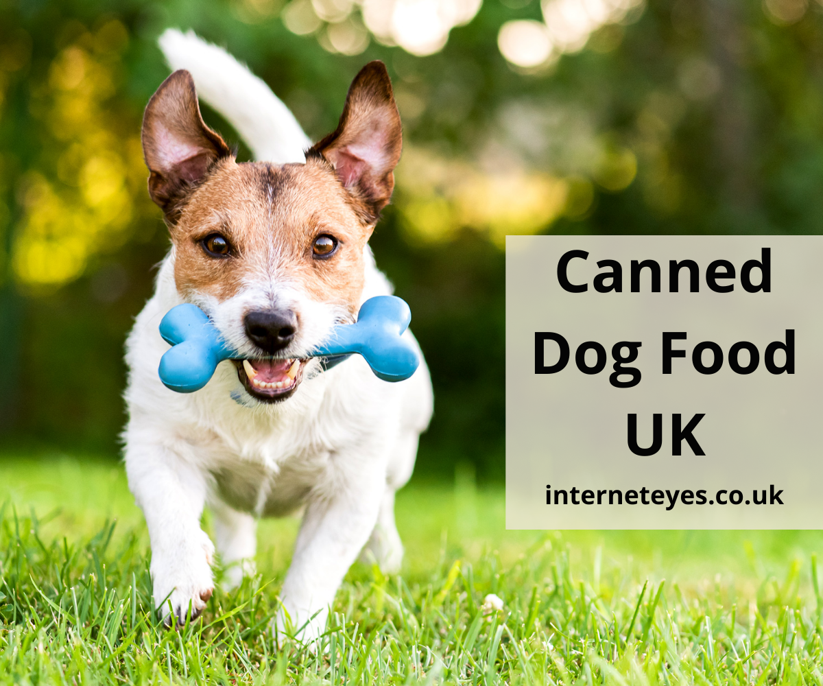 Canned Dog Food UK