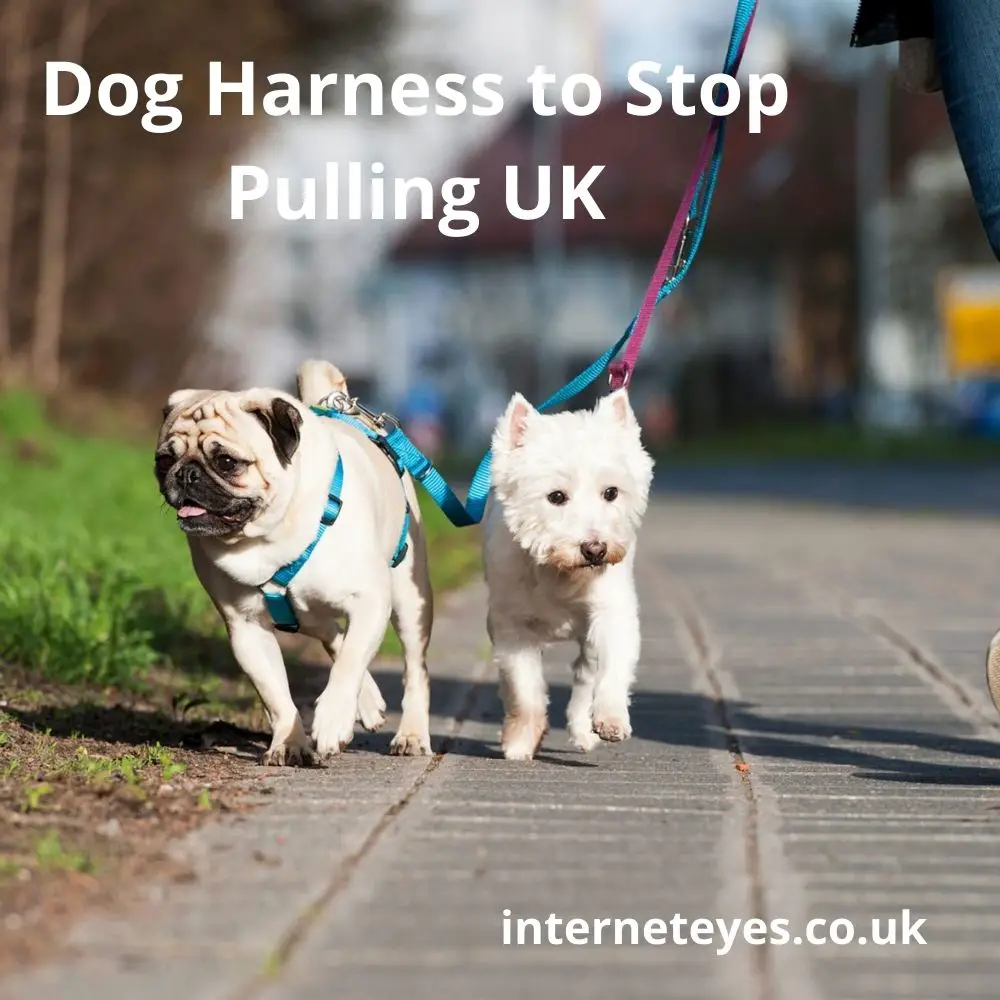 BEST DOG HARNESS TO STOP PULLING UK