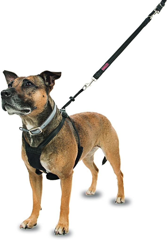 Deals On Dog Harness to Stop Pulling UK